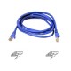 BELKIN CABLE/FASTCAT 5E RJ45M-RJ45M 1M BLU [P/N CNP5LS0AED1M]